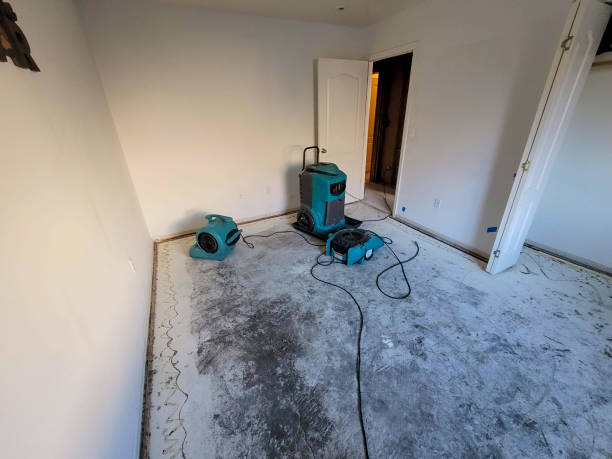 Best Flood restoration services  in Winfield, TN