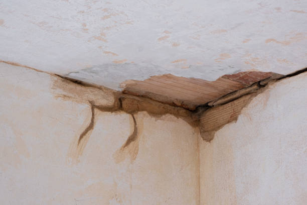 Best Mold removal after water damage  in Winfield, TN