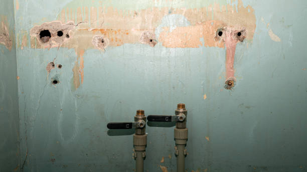 Best Local water damage restoration  in Winfield, TN
