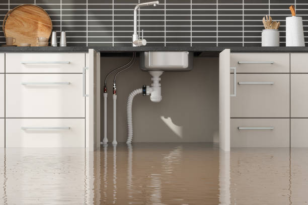 Best Commercial water damage restoration  in Winfield, TN